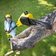 Best Pest Control for Lawns  in Salem, NJ